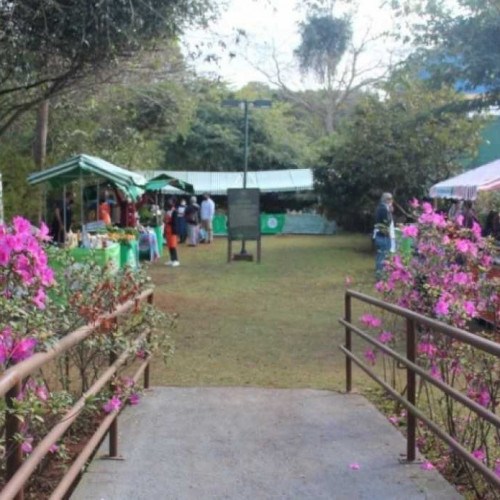 Ilha Marabá terá atividade para celebrar Dia do Tietê