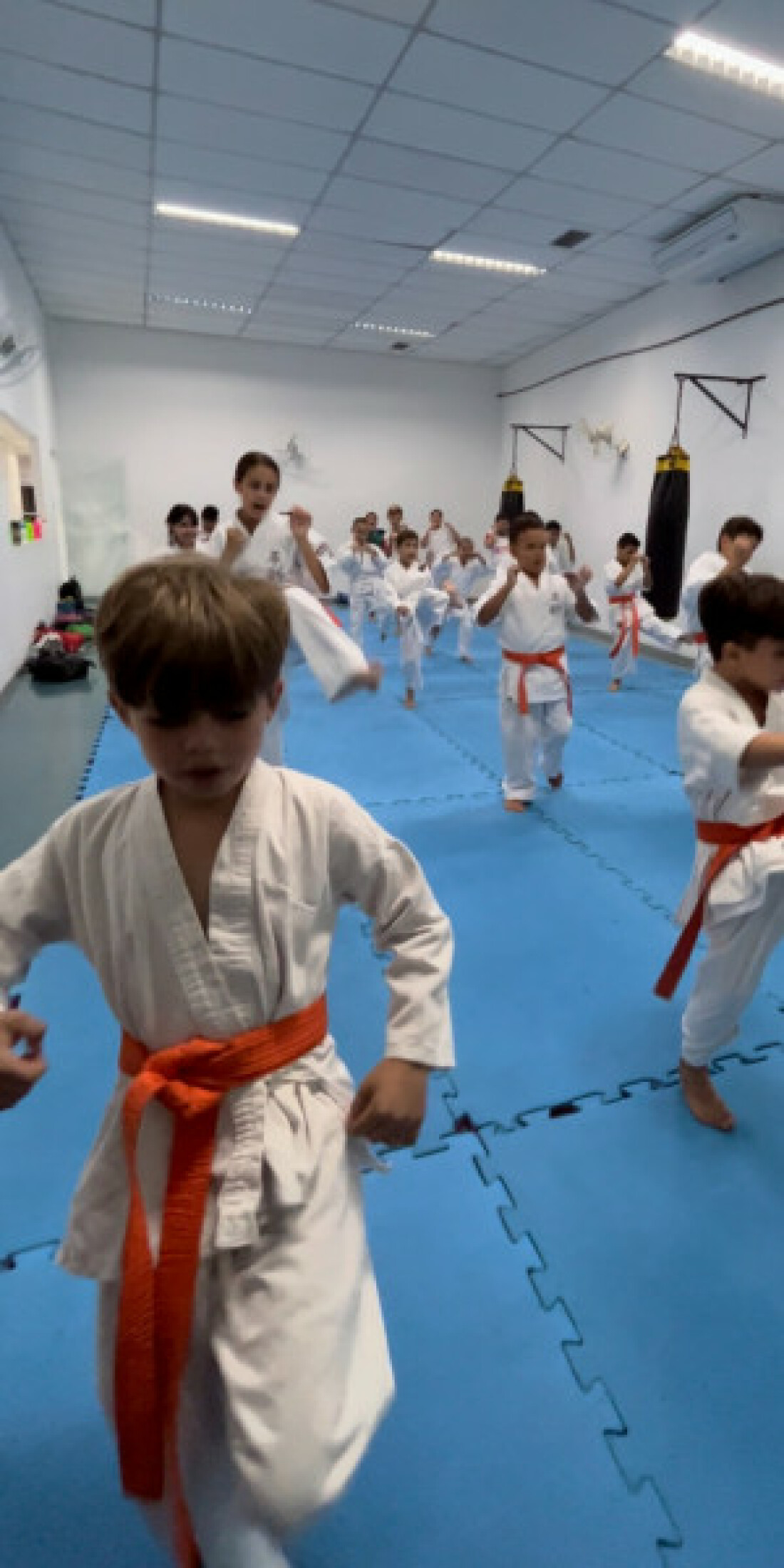 1º Festival de Karatê de Guararema é atração gratuita neste domingo