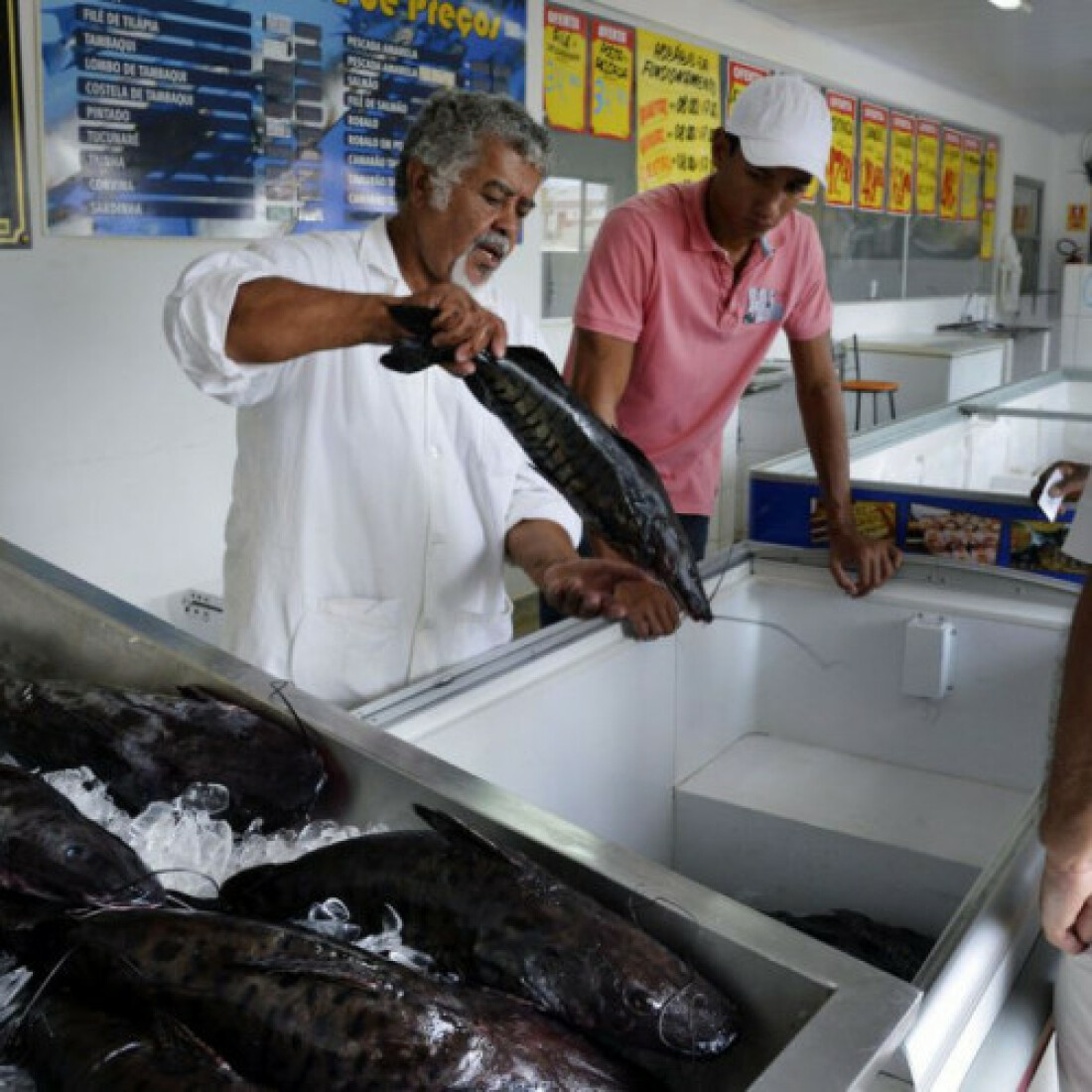 Doença “urina preta” pode estar relacionada a consumo de frutos do mar