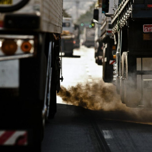 CNI divulga estudo sobre mercado de carbono no mundo