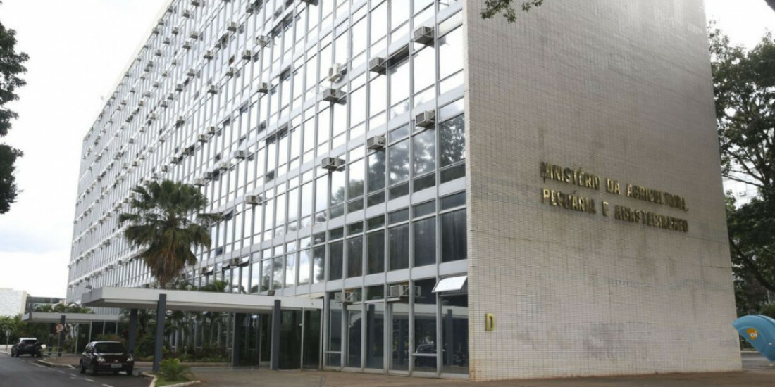 Brasil tem primeiro caso de influenza aviária em aves domésticas