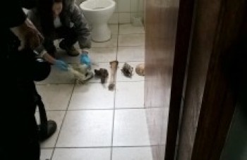 Homem deixa ossada em banheiro de DP