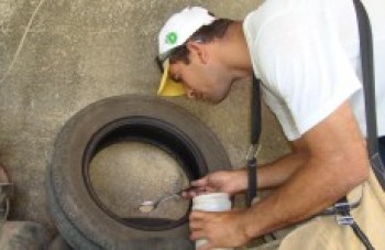 Região tem 6.785 casos de dengue