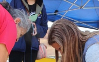 Campanha contra raiva começa 2ª