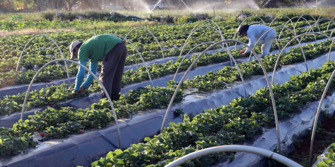 Saldo de empregos na região aumenta 194% em fevereiro