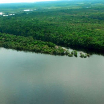 Vice-presidente visita a Amazônia na companhia de embaixadores