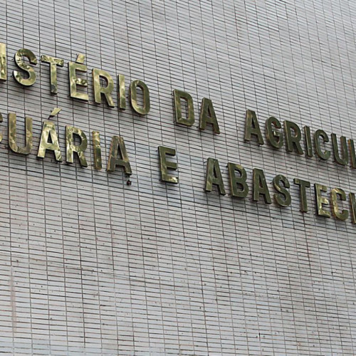 Ministério confirma casos de vaca louca em Mato Grosso e Minas Gerais