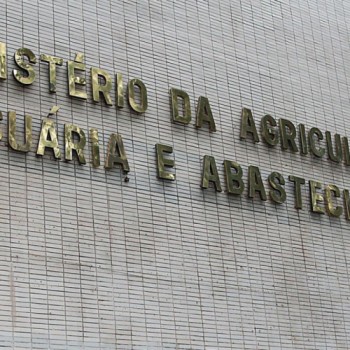Ministério confirma casos de vaca louca em Mato Grosso e Minas Gerais