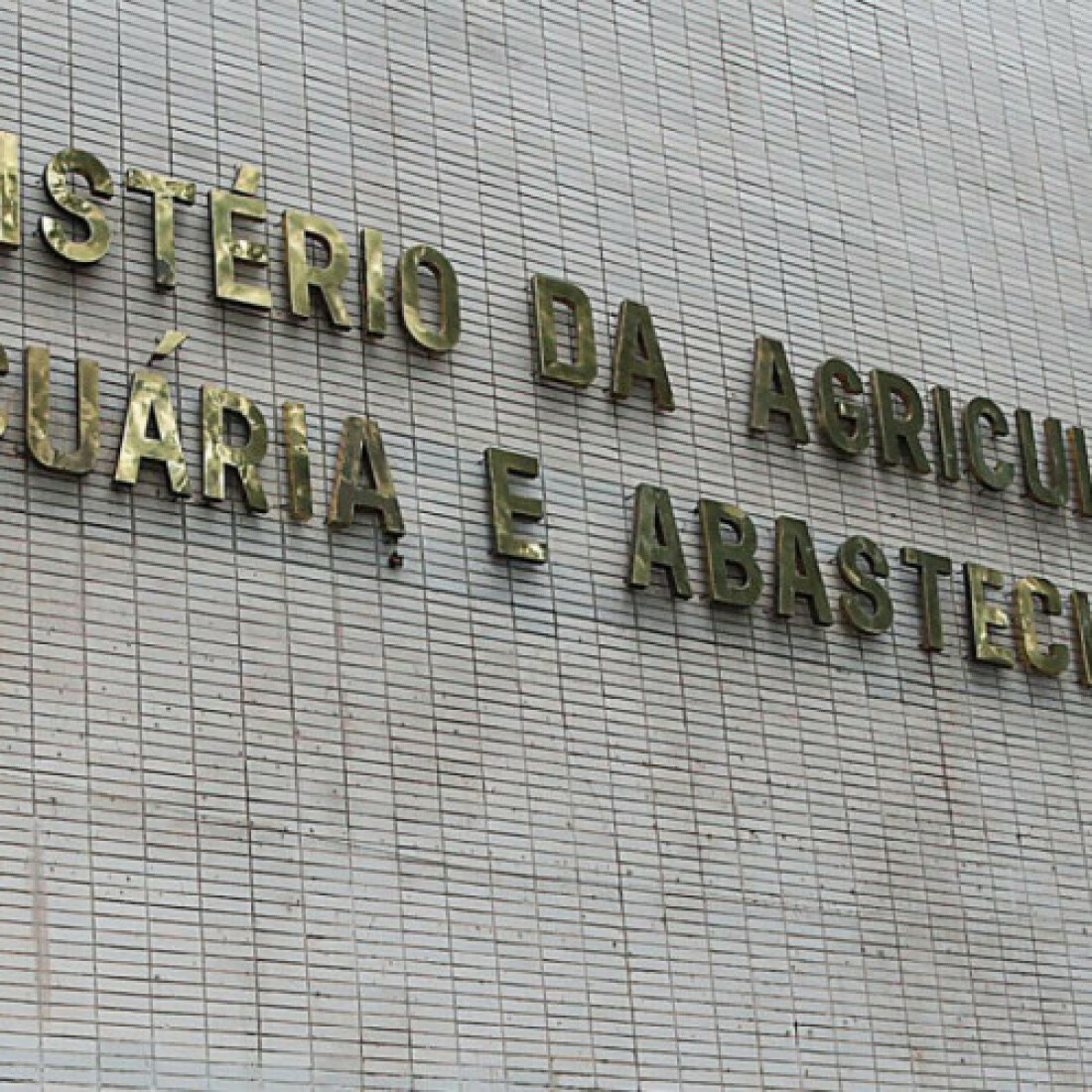 Ministério confirma casos de vaca louca em Mato Grosso e Minas Gerais