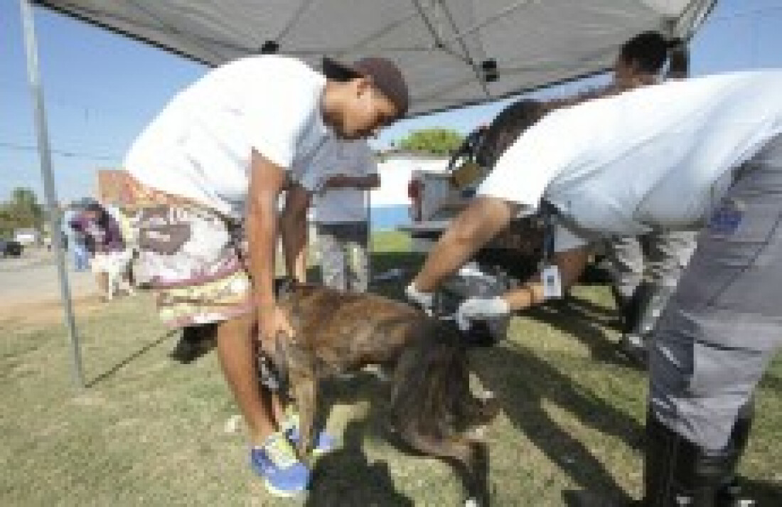 Campanha já imunizou mais de 24 mil animais na região
