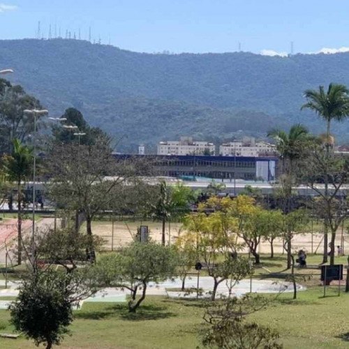 Programação especial de Educação para o Trânsito começa na quarta