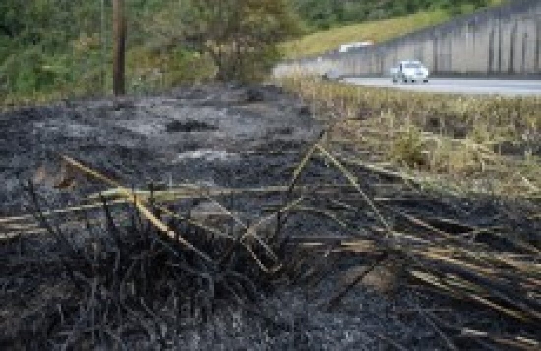 G5 do Alto Tietê registra 105 queimadas ao longo deste ano
