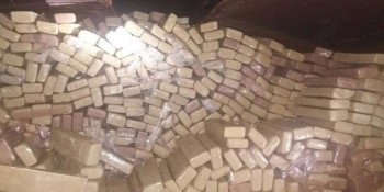 Guerra às drogas custa R$ 15 bilhões por ano em recursos públicos