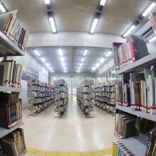 Suzano disponibiliza Biblioteca virtual com cerca de 36 mil obras