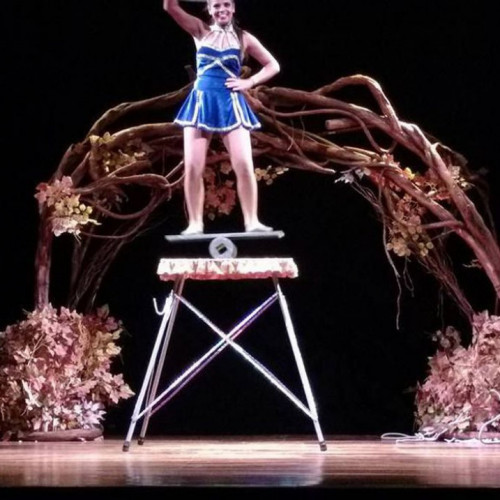 Festival Internacional Sesc de Circo começa hoje de forma virtual