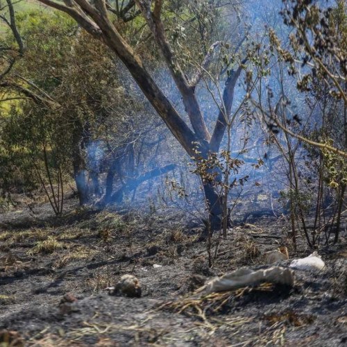 GCM realiza ação conjunta com Corpo de Bombeiros