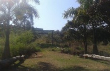 Cidade Natureza: Parques do município estão abandonados