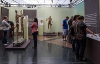 "O Fantástico Corpo Humano"