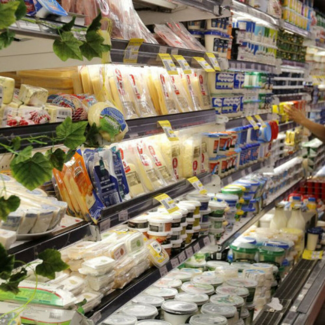 Índice de Consumo das Famílias cresce 2,1% em agosto