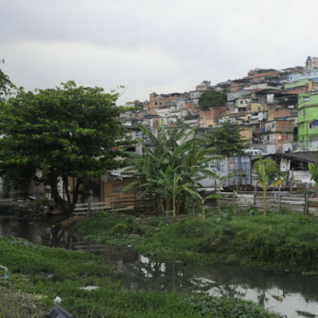 Violência afeta saúde mental de moradores da Maré, mostra estudo