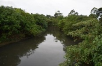 Prefeituras vão reforçar ações com o novo 'ICMS Ambiental'