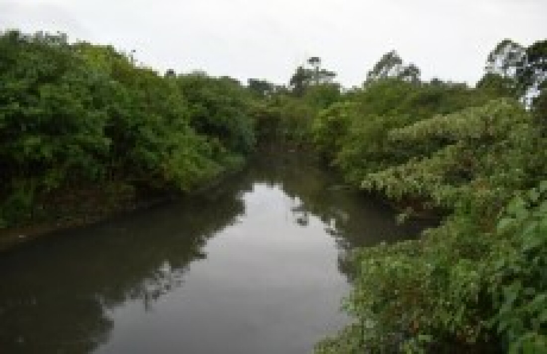 Prefeituras vão reforçar ações com o novo 'ICMS Ambiental'