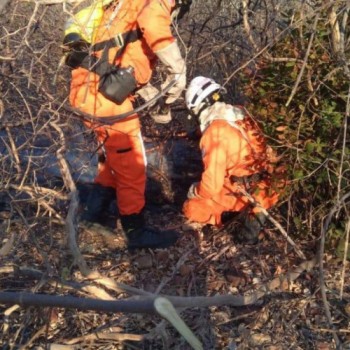 MT tenta conscientizar população a evitar incêndios como os de 2020