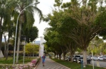 Câmara substitui lâmpadas para reduzir valor das contas