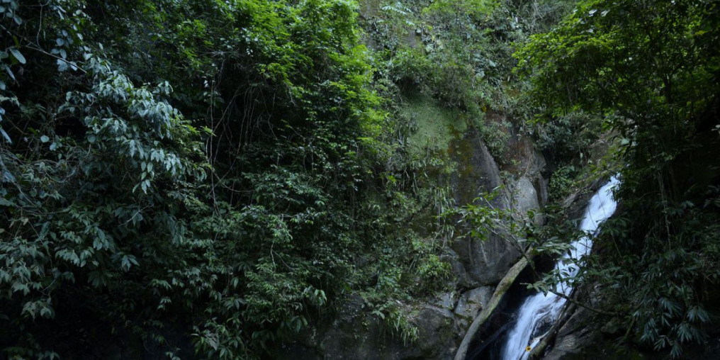 Mata Atlântica tem água de boa qualidade em 6,9% dos rios