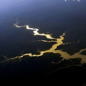 COP26: Brasil quer aprovar regras previstas para mercado de carbono