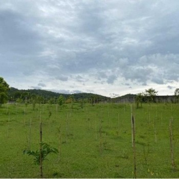 Guararema lança projeto Pronascentes