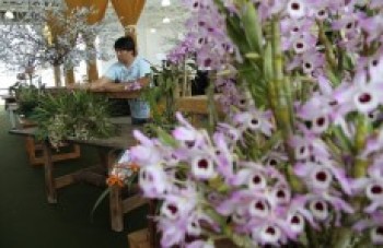 Expoá espera público de 250 mil durante os cinco dias de festa