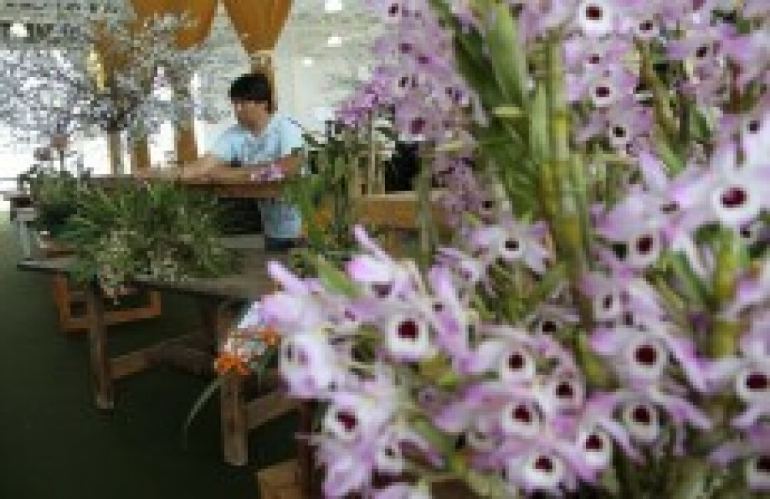 Expoá espera público de 250 mil durante os cinco dias de festa