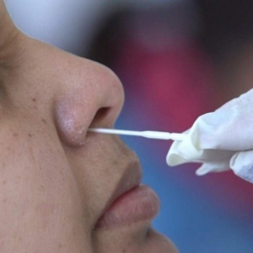 Caravana de testagem estará no Jardim Universo