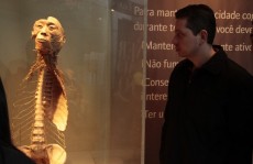 Exposição segue até o fim do mês