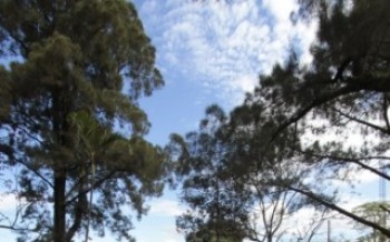 Transporte de Itaquá nos trilhos