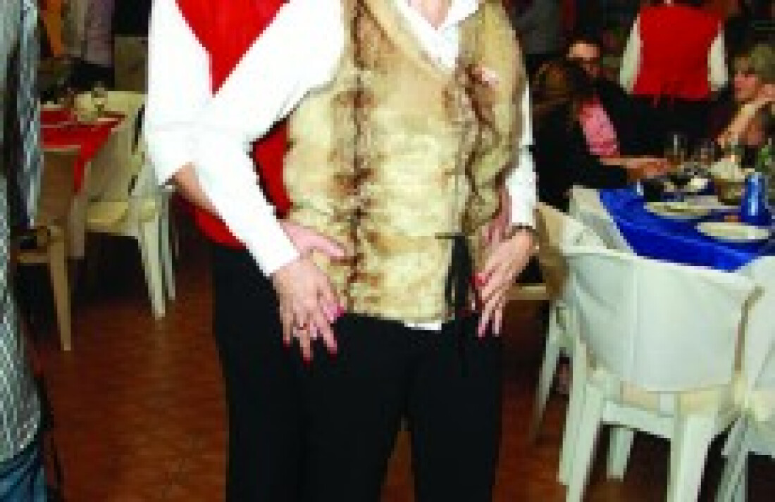 Queijos e Vinhos