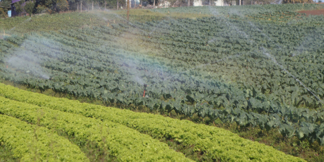 Secretarias de Educação e Meio Ambiente lançam concurso