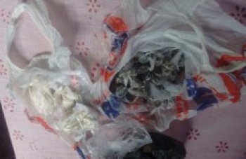 Suspeito é preso com drogas em casa: