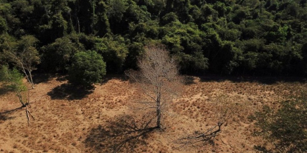 Brasil registra alta na emissão de gases de efeito estufa