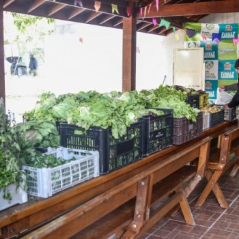 Fundo Social faz distribuição de alimentos em Ferraz