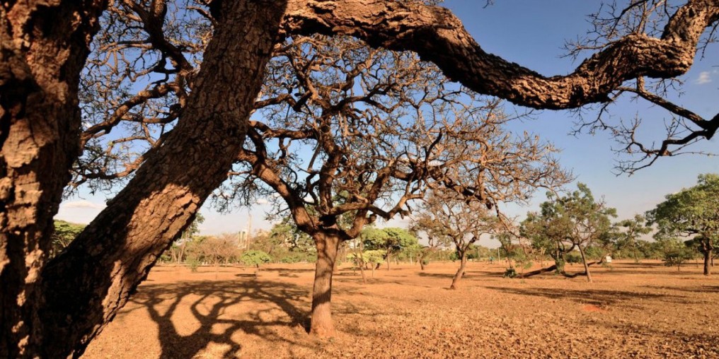 Ambientalistas denunciam degradação dos recursos hídricos do Cerrado
