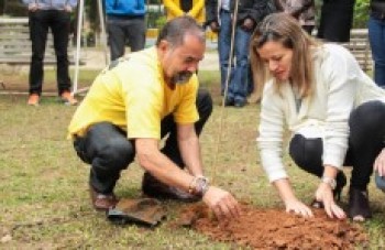 Atividades para o Dia da Árvore começam em Ferraz
