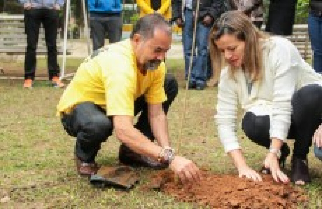 Atividades para o Dia da Árvore começam em Ferraz