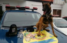 GCM apreende drogas em Itaquá: