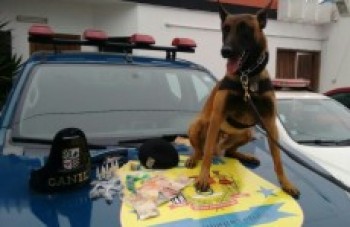 GCM apreende drogas em Itaquá: