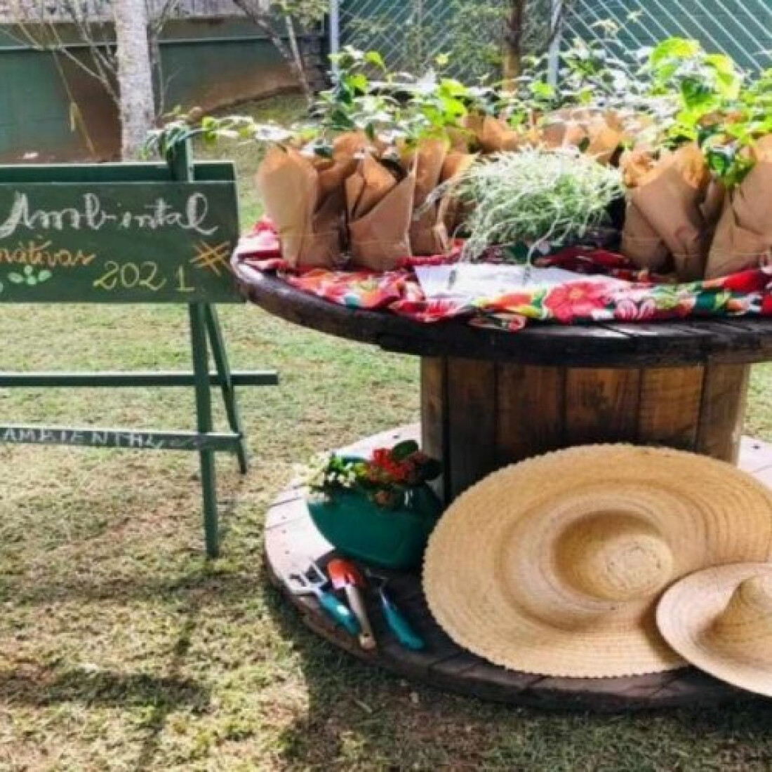 Escola Ambiental promove doação de mudas até quarta