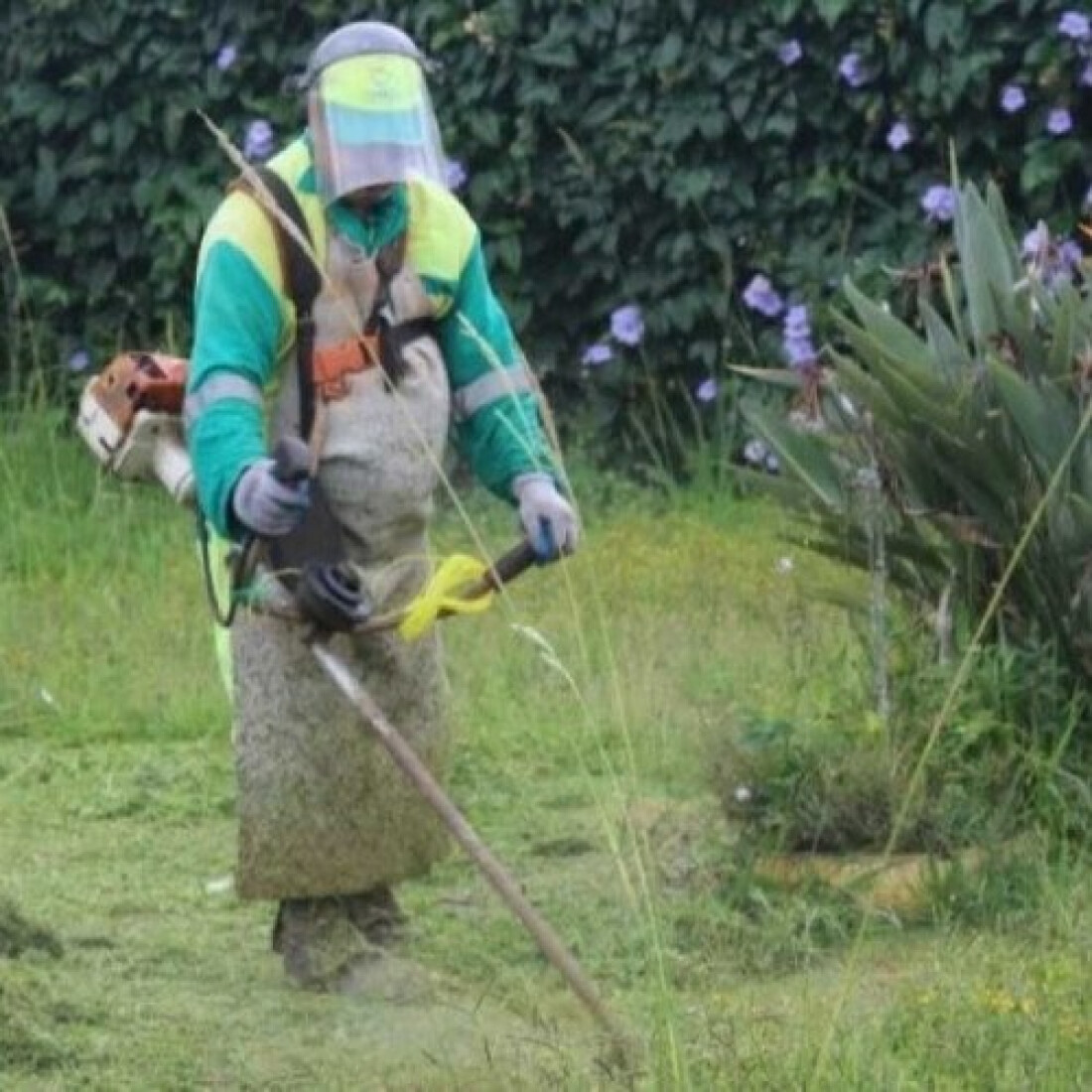 Mutirão de limpeza pública atenderá o bairro do Socorro