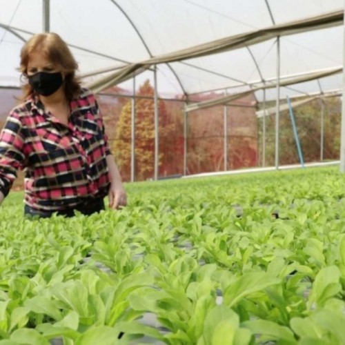 Produtora ganha 3º lugar em disputa pela Folha de São Paulo