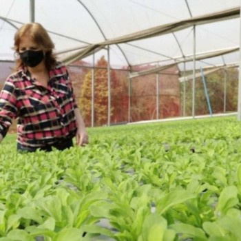 Produtora ganha 3º lugar em disputa pela Folha de São Paulo